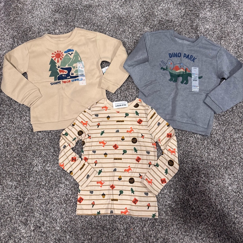 Boys Beige, Gray & Cream Graphic Sweatshirts and Tee